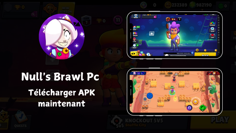 Comment télécharger et jouer à Null’s Brawl sur PC?