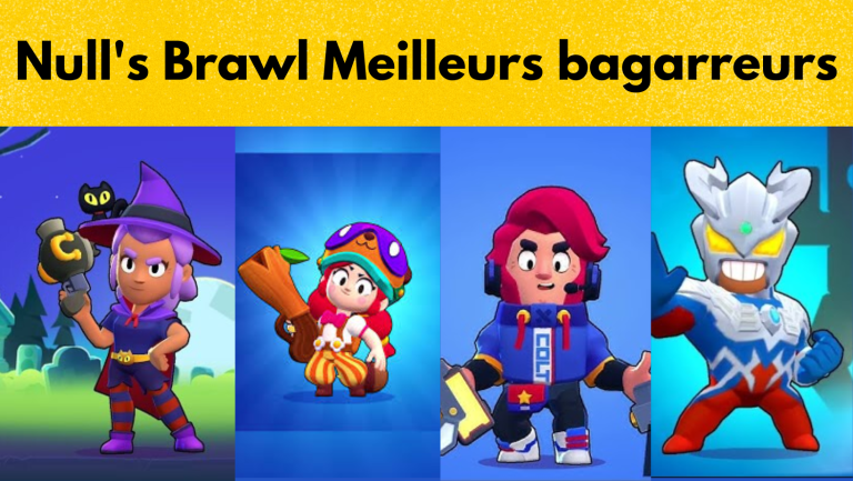 Qui sont les 5 meilleurs bagarreurs du Null’s Brawl?